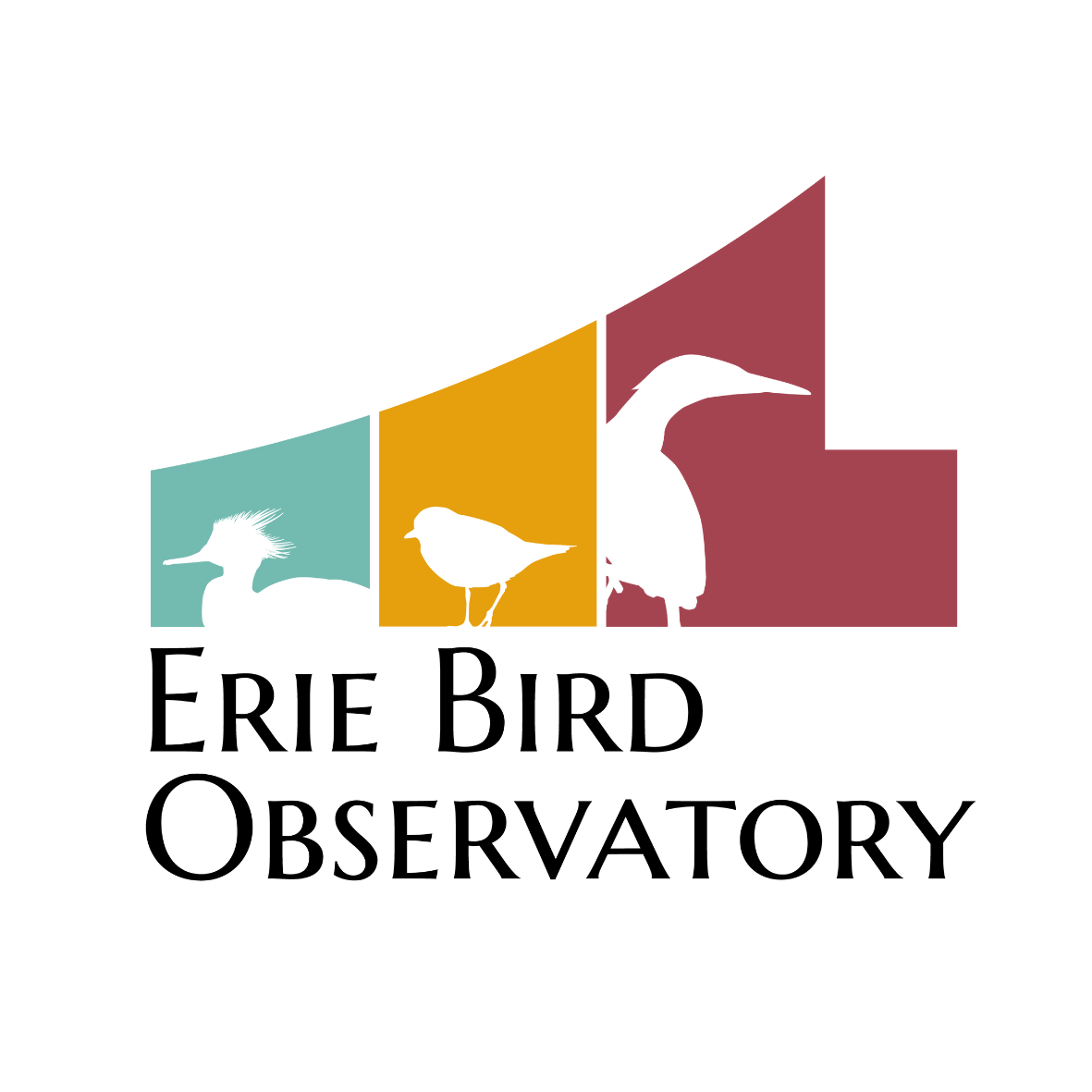 Wings of Spring, 2026 - logo